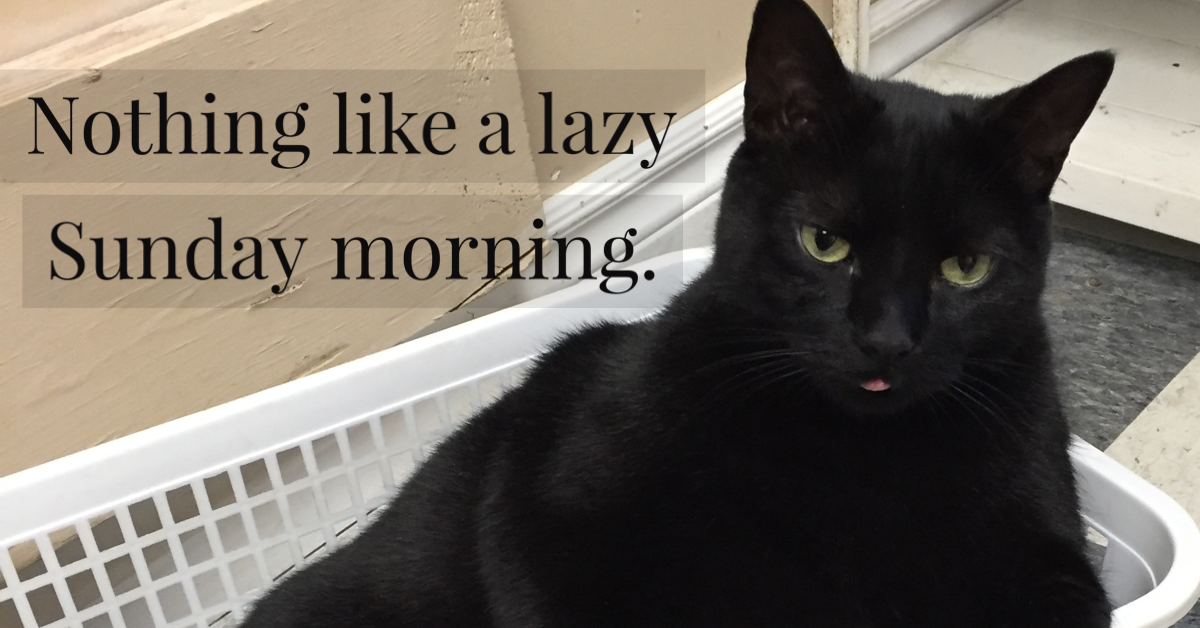 Black cat lounging comfortably in a basket on a quiet snowy Sunday, representing rest, safety, and slowing down